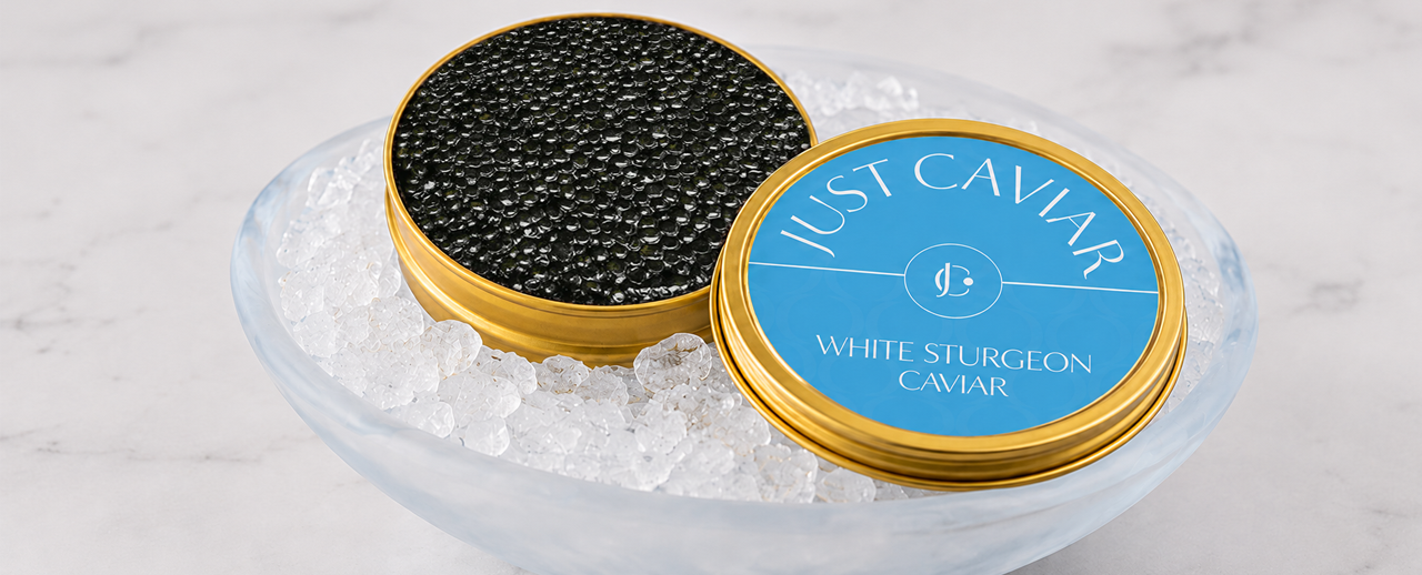 White Sturgeon