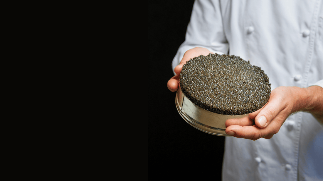 Chef's hands plating caviar simply on a warm plate, kitchen-light environment