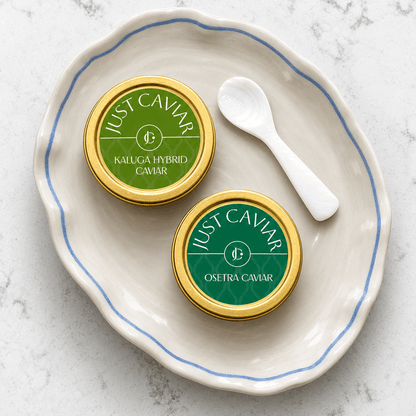Caviar Starter Set