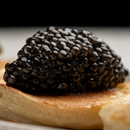 Siberian sturgeon caviar, 250g - 8.8oz