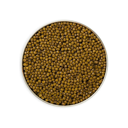 Kaluga Hybrid Caviar, 250g - 8.8oz
