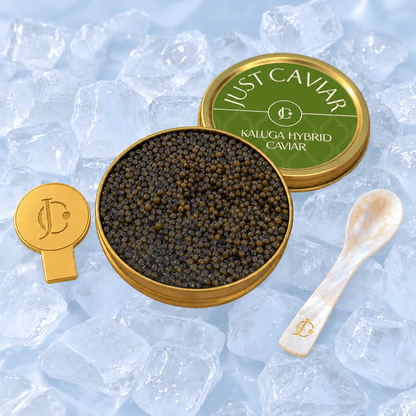Caviar Starter Set